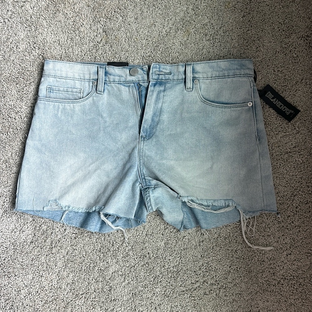 BLANKNYC The Essex Jean shorts size 30